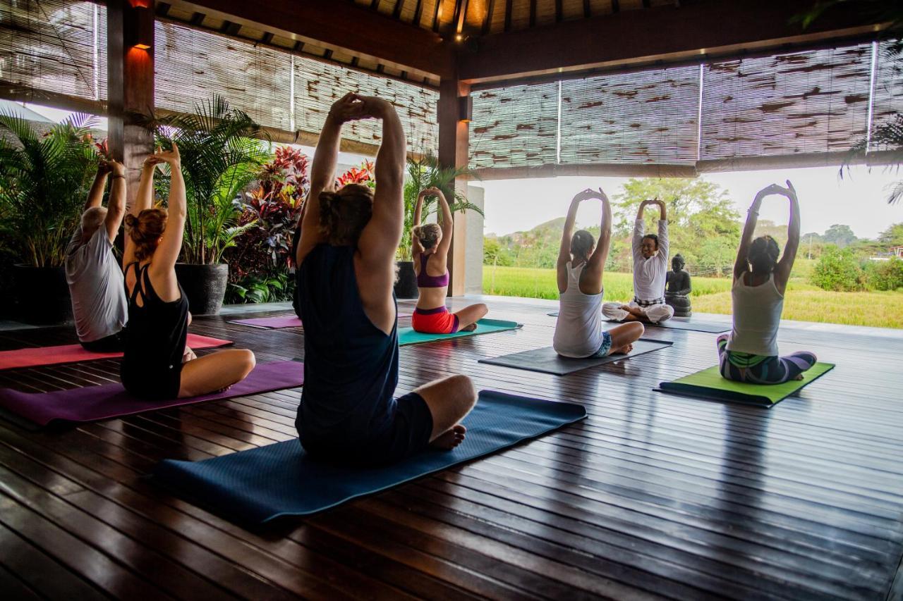 Bali Harmony Retreat Aparthotel Canggu Kültér fotó
