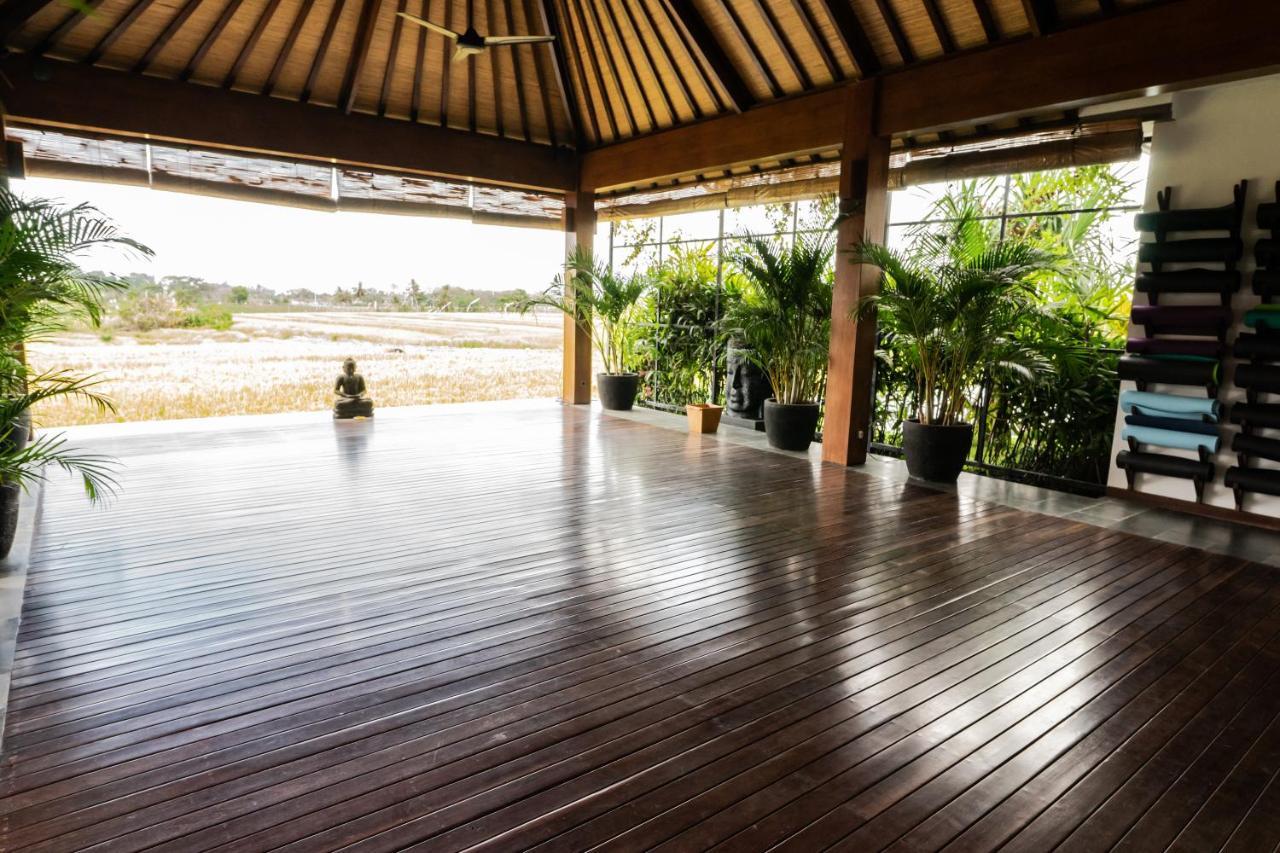 Bali Harmony Retreat Aparthotel Canggu Kültér fotó